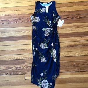 NWT Gorgeous Floral Print Dress from StitchFix